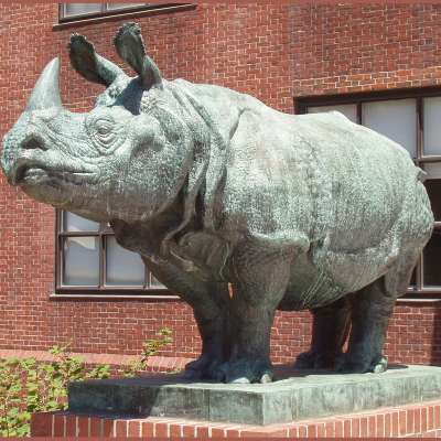 Large Lifelike Wildlife Sculpture Life Size Bronze Rhino Statue Garden Ornament